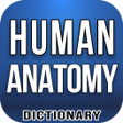 Icon of program: Human Anatomy Dictionary …