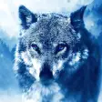 Icon of program: Ice Wolf Live Wallpaper