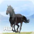 Icon of program: Horse Encyclopedia for iP…