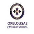 Icon of program: OCS Mobile