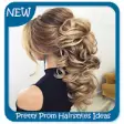 Icon of program: Pretty Prom Hairstyles Id…
