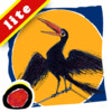 Icono de programa: Cyrano The Crow - a class…