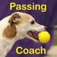 Flyball Passing Coach icon