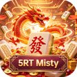 Icono de programa: 5RT Misty