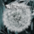 Icono de programa: AllergyMonitor