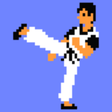 Icono de programa: Kungfu NES