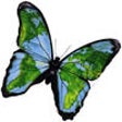 Icono de programa: Starbit International