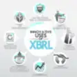 Icon of program: XBRL