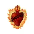 Icon of program: Sacred Heart Texarkana