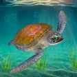 Icono de programa: Sea Turtle Survival Sim G…