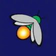Icon of program: firefly K3000