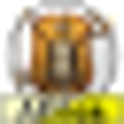 Icono de programa: Age of Conquest: Africa
