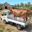 Icon of program: Animal Transport Cargo Ga…