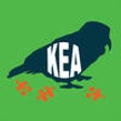 Icon of program: Kea: Learn Birds Through …