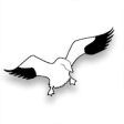 Icon of program: Hunt Snows - Snow Goose E…