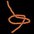 Icon of program: Best Knots - Animated Kno…