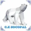 Icon of program: CESOCOPAL