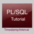 Icon of program: PL/SQL Timestamp/Interval…
