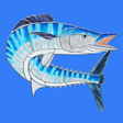 Icono de programa: Wahoo VPN
