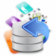 Icono de programa: DataRescueProfessional