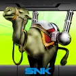 Icon of program: Metal Slug X