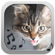 Icono de programa: Cat Ringtones  Meow Sound…