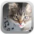 Icon of program: Cat Ringtones  Meow Sound…