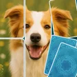 Icon of program: Pic Solitaire
