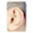 Icono de programa: Dolce Ear Training
