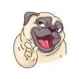 Icon of program: Funny Pug Stickers Pack