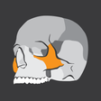 Icon of program: Skull Osteology