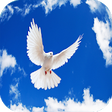 Icono de programa: ringtones christian music