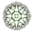Icon of program: Evidyon - No Man's Land
