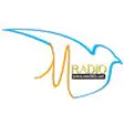 Icon of program: RADIO MERIB