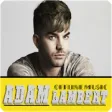 Icon of program: Adam Lambert Offline Musi…