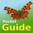 Icono de programa: Pocket Guide UK Butterfli…