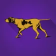 Icon of program: Westminster Dog Show