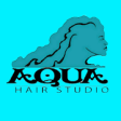 Icon of program: AQUA Hair Studio