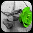 Icono de programa: Picture Splash