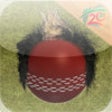 Icon of program: T20 Fever