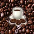Icon of program: Visions of Coffee Beans