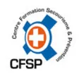 Icon of program: CFSP secourisme preventio…