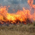 Icon of program: Wildland Toolkit