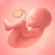 Icon of program: Pregnancy Tracker for Mom…