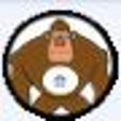 Icono de programa: Password Gorilla Portable