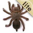 Icono de programa: Real Creepy Crawlies Lite