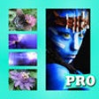 Icono de programa: Photo Joiner Pro - Add Mu…