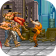 Icon of program: Final Knight