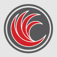 Icon of program: Red River Software - CSMF…