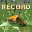 Icon of program: Record Wild Essex